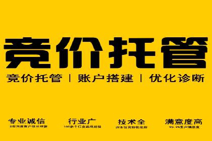 网络推广与竞价优化案例分享